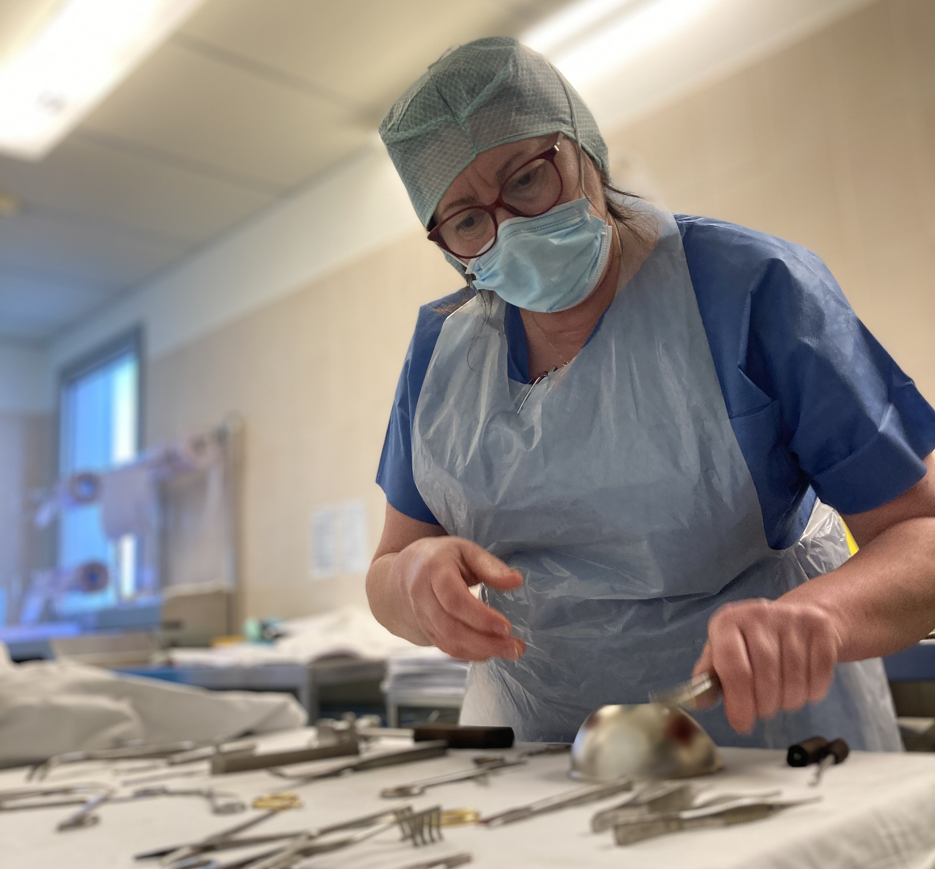 AGENTS DE STÉRILISATION