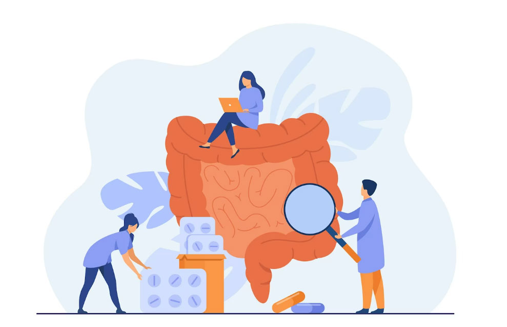 Hépato gastro entérologie